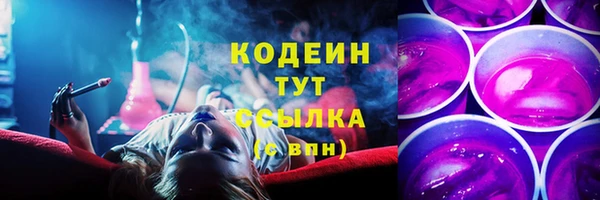 мет Алексин