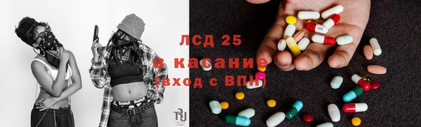индика Алзамай