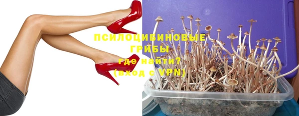 индика Алзамай