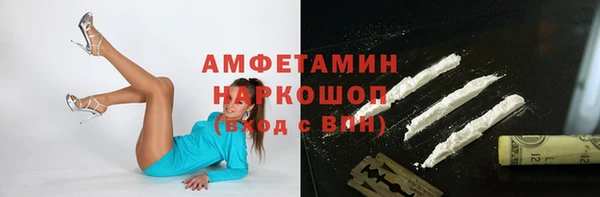 индика Алзамай