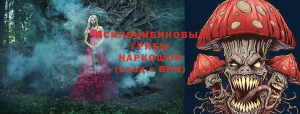 индика Алзамай