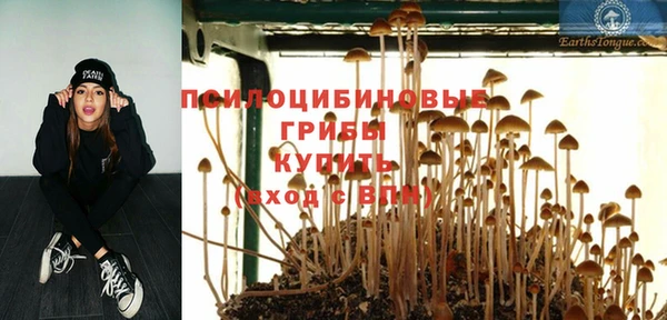 индика Алзамай