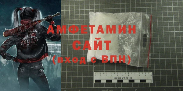 мет Алексин