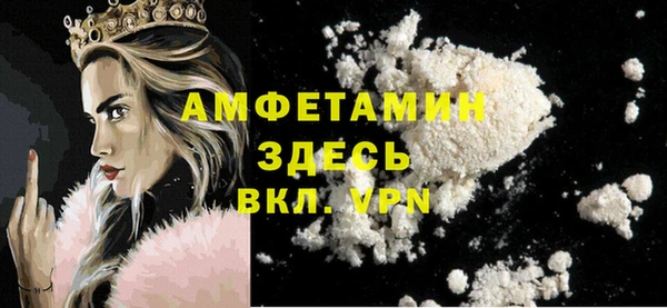индика Алзамай