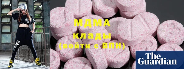 индика Алзамай